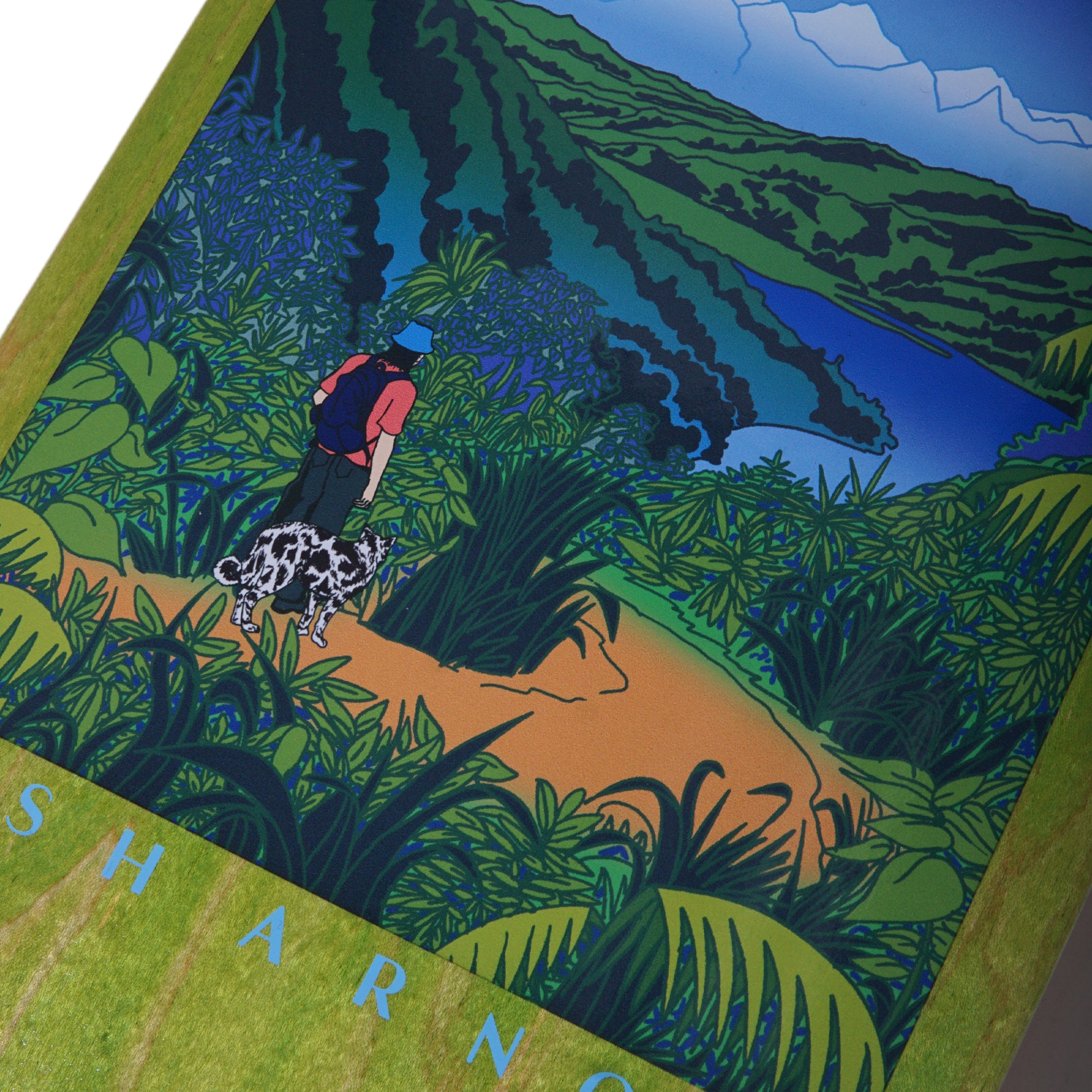 8.5 Josh Arnott Mountains C2 Shape Green