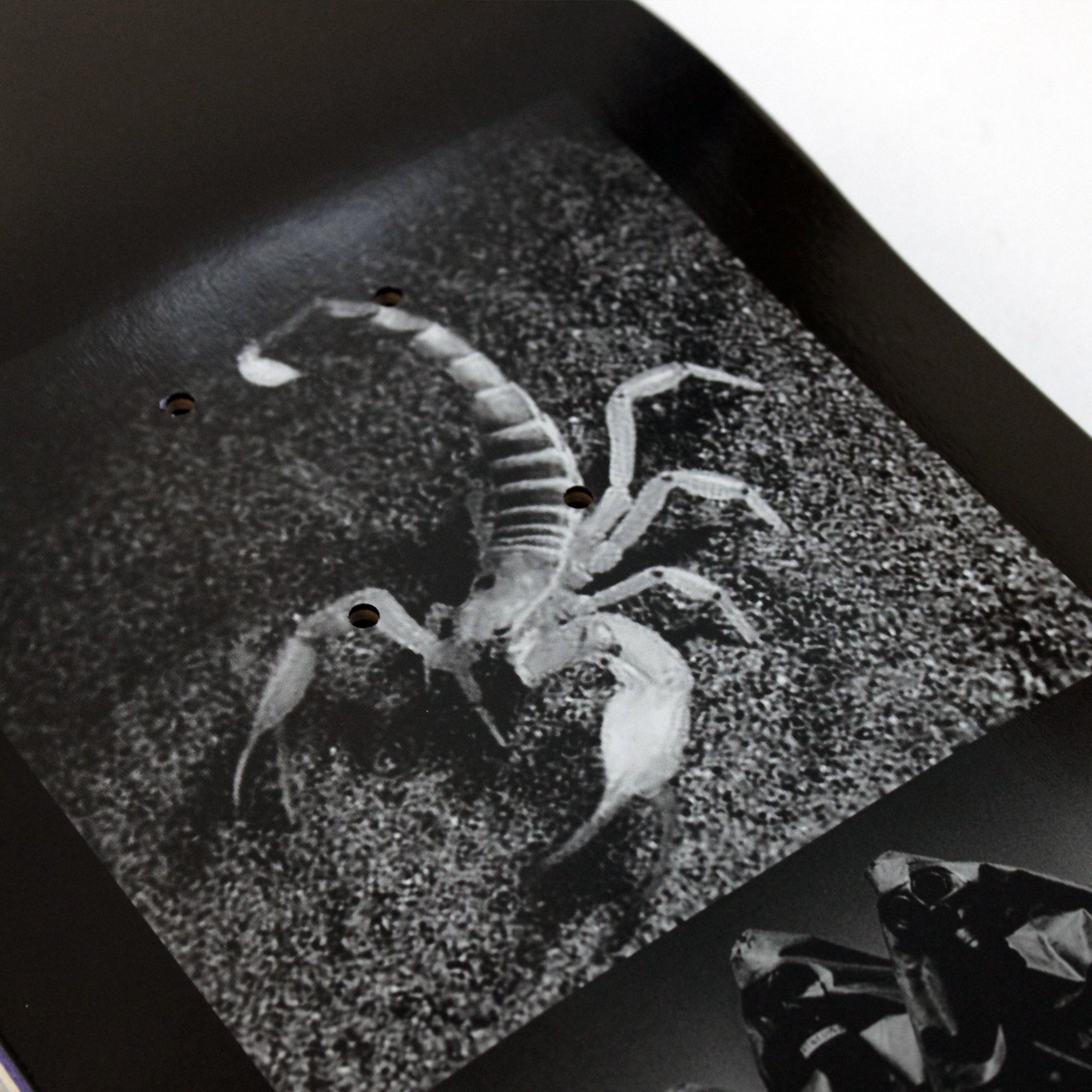 Layth Sami Swan Pro Deck