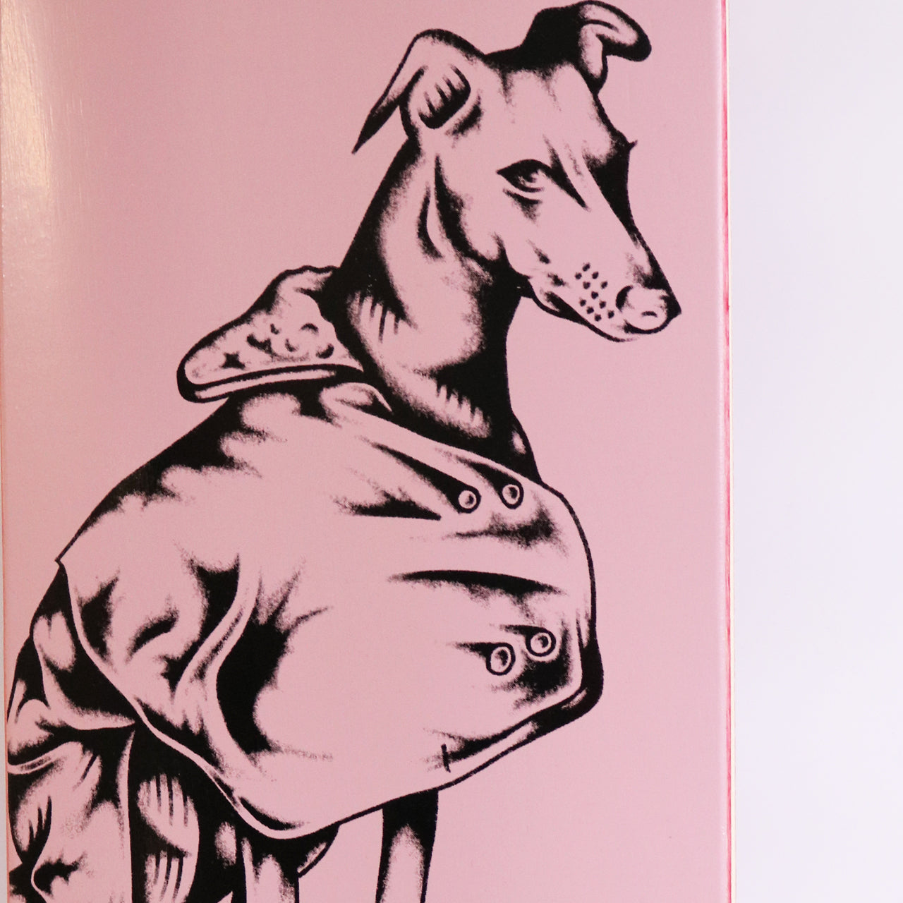 Norma Deck - Pink